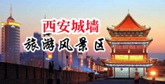 美女的小屄屄被操红了中国陕西-西安城墙旅游风景区